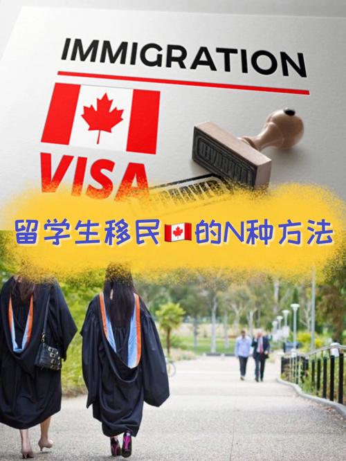 加拿大留学生移民的相关图片