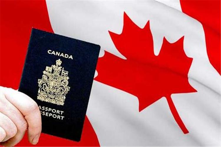 加拿大移民要什么条件的相关图片